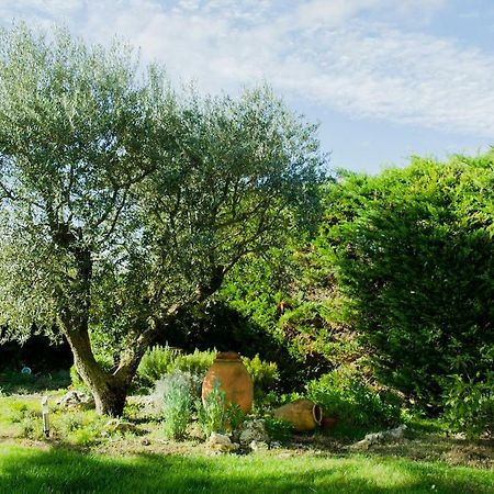 B&B Tina de Pacs, close to local wineries Pacs del Penedès Exterior foto