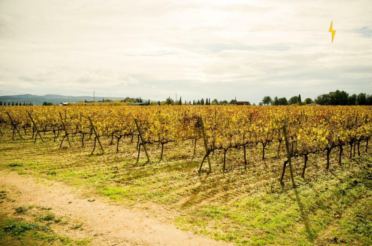 B&B Tina de Pacs, close to local wineries Pacs del Penedès Exterior foto
